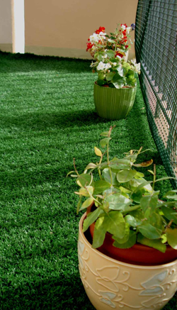 Pour ou contre ? : le compost écolo sur le balcon